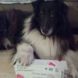 Meet your Posher, Cathy